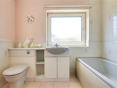 Picture 12